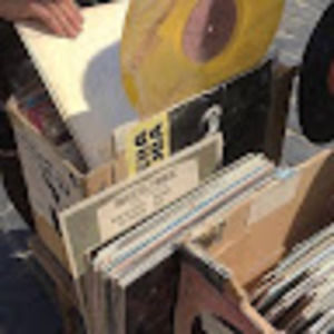 Meet your Posher, Meredith